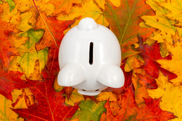 Wall Mural - White piggy bank with colorful autumn foliage, top view