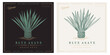 Blue agave azul vintage retro detailed engraved style illustration. Agave tequilana