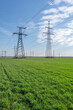 © yelantsevv - Electrical net of poles on a panorama of blue sky and green meadow