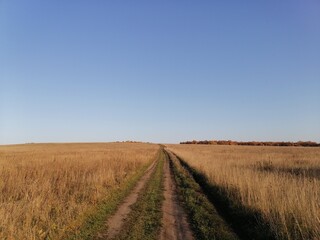 autumn road to the sky