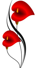 Background With Red Calla, Design Element.