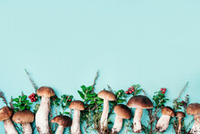 Forest Boletus Mushrooms On Blue Background. Top View. Creative Food Pattern. Copy Space. Autumn Harvest Concept. Fresh Picked Porcini Mushrooms And Space For Your Text