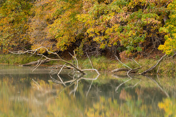 A Reflective Pond In Autumn