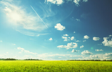 Canvas Print - field of spring grass and perfect sky