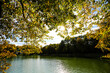 Nymphenburger Kanal im Herbst