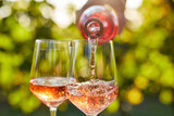 Fototapeta Sypialnia - Pouring rose wine into glasses from a bottle