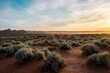 Desert landscape sunset