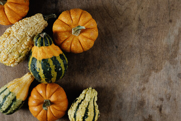 Poster - Rustic autumn flat lay of gourds and mini pumpkins on wood background with copy space for Thanksgiving season holiday.