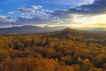 Wall Mural - Mellow autumn in the far Eastern taiga forest. Bolshekhekhtsirsky Nature Reserve. Khabarovsk region, Russia.