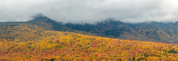 Wall Mural - Along the Kancamagus Highway