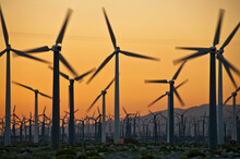Windmill Farm At Sunset Outside Palm Springs California, 