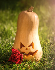 Wall Mural - Evil carved pumpkin for halloween party. Traditional garden decoration