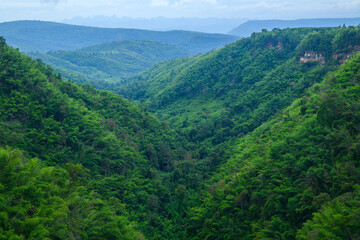 Wall Mural - beautiful mountains in deep forest at thailand.