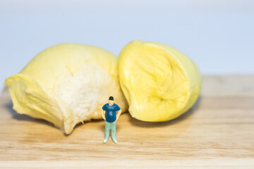 Miniature people : Close up fat man standing with durian isolated on white background 