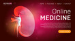 Online medicine landing page template or medical hero banner design concept. Human kidney outline organ vector illustration in 3d line art style on abstract background