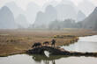 © zhuxiaophotography - China's natural landscape. A farmer is plowing the land. Guilin's misty peaks.