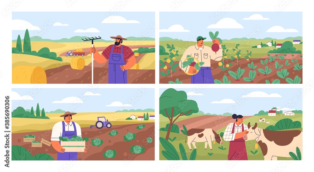 Set of horizontal banners with farmers picking crops, taking care of cows, making hay. People at farm vector flat illustration. Scenes with agricultural workers on farmland isolated. Harvest season - obrazy, fototapety, plakaty 
