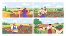 Set Of Horizontal Banners With Farmers Picking Crops, Taking Care Of Cows, Making Hay. People At Farm Vector Flat Illustration. Scenes With Agricultural Workers On Farmland Isolated. Harvest Season