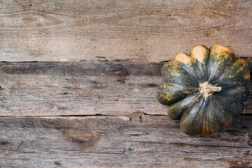 Wall Mural - Organic pumpkin on wooden background. Top view. Flat lay. Copy space for advertising. Fall harvest fair. Thanksgiving day. Gold cozy autumn.