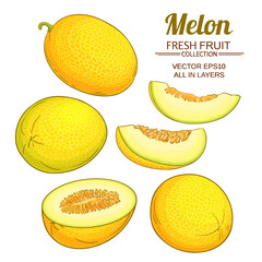 Sticker - melon vector set