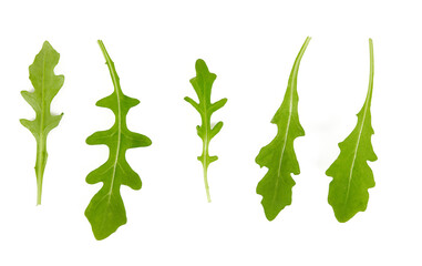 Sticker - fresh rucola isolated on white background