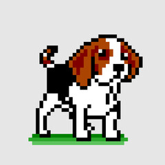 Wall Mural - 8 bit Pixel beagle puppy image. Animal in Vector Illustration of pixel art.