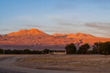 Fototapeta Sawanna - Scenery in a road trip through the Atacama desert region, at sunset.
Chile.
