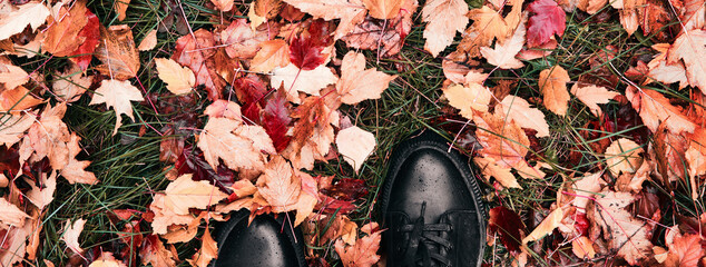 Wall Mural - Women's feet in black boots stand on the lawn with fallen red leaves. Autumn leaf fall banner