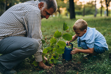 Wall Mural - boy with his grandfather planting tree in park