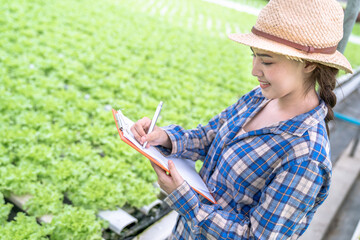 Wall Mural - Asian woman farmer inspecting the quality of organic vegetables grown using hydroponics.