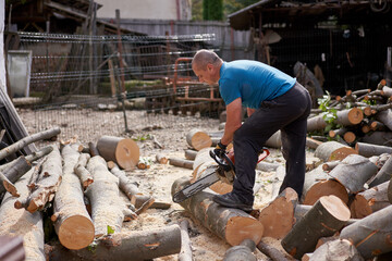 Wall Mural - Farmer with chainsaw cutting wood