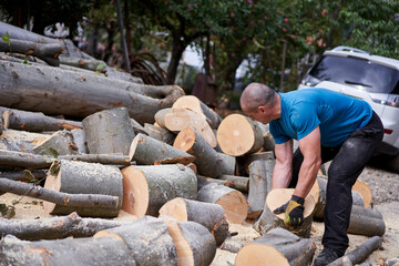 Wall Mural - Farmer with chainsaw cutting wood