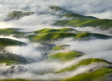 View Of Green Hills Covered With Fog