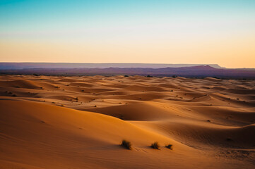 Wall Mural - footprints in the sand