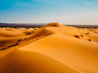 Wall Mural - sand dunes in the desert