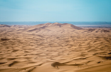 Wall Mural - sand dunes in park