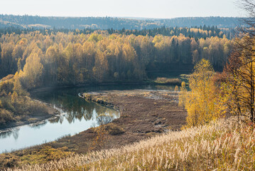 Wall Mural - autumn landscape, a beautiful forest on the banks of the river, the sunlight and the rays through ye