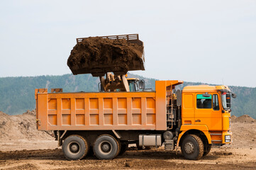 Wall Mural - Wheel loader loads clay into the bucket of a dump truck