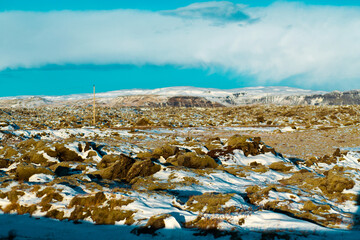 Wall Mural - Winter landscape in Iceland. A field of solidified lava covered with moss is covered with snow.