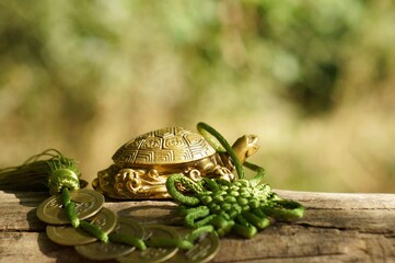 Wall Mural - Metal turtle with Chinese coins on a natural background. Symbol of wisdom.