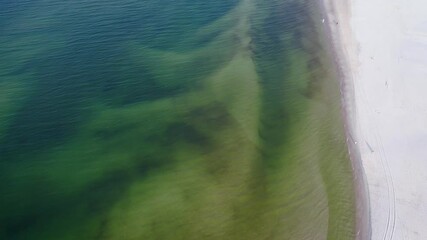 Poster - 4k drone footage of beach in Debki village within Puck County on the Baltic Sea coast in Pomeranian Province of Poland