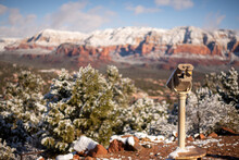 Snow Covered Coin-operated Viewer At Sedona Airport Viewpoint