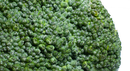 broccoli very closeup macro view isolated on white background