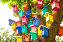  Colorful Bird Houses. Houses For Birds. Lodges For A Wintering Of Birds