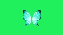 Animation Blue Fantasy Style Butterfly Wings On Green Background.