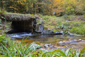 Sticker - Ruisseau des Vosges en automne