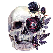 Watercolor Skull And Flowers Halloween Illustration