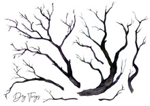 Watercolor Collection Of Dry Black Twigs