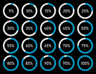 Poster - Set of pie percentage charts for infographic design, loading circle icon on black background, vector illustration.