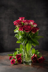 Fotomurales - Red wild roses